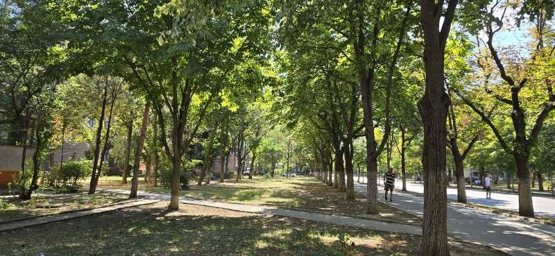 Buzau vrea sa transforme spatiile verzi in mici livezi accesibile gratuit