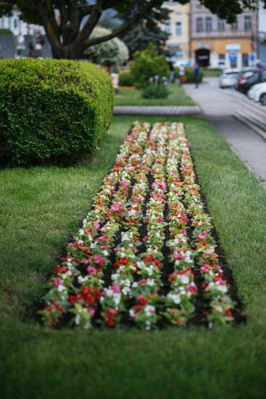 Târgu Secuiesc atrage aproape 2 milioane de euro pentru regenerare urbană și mai mult spațiu verde
