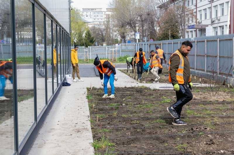 Galați amenajează patru păduri urbane printr-un proiect PNRR de circa 3,5 milioane de lei