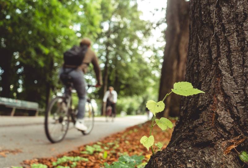 Sector 3 vrea o retea de 100 km de piste de biciclete spre Popesti-Leordeni si Cernica