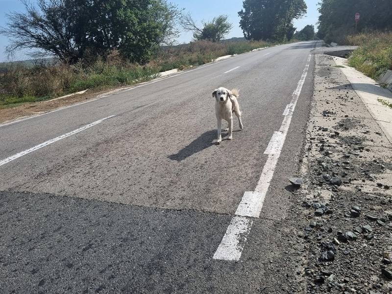 Peste 200 de milioane de lei prin Anghel Saligny pentru 16 proiecte noi în 12 județe