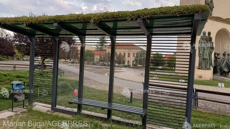 Arad testeaza acoperisuri verzi din Sedum pe statiile de transport public