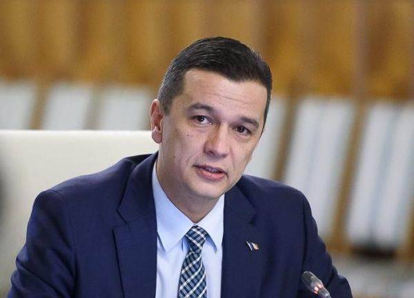 Centura Verde București-Ilfov: primii 16.000 de arbori au intrat în pământ