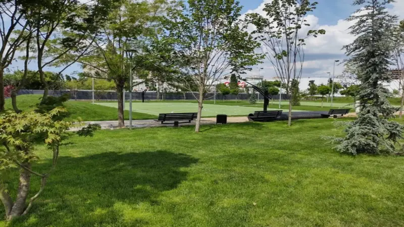 Sector 6 aprobă parcul liniar de pe strada Liniei, în cartierul Militari